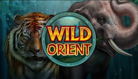 Wild Orient